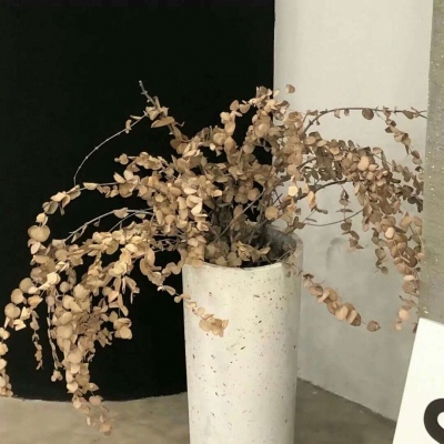 兽设配饰设计灵感Furry群